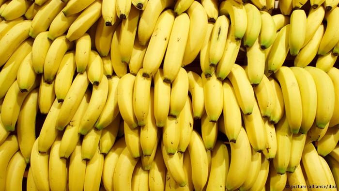 There`s a global banana crisis